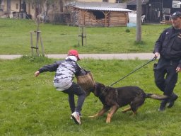 beseda s policii66